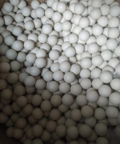 Bi silicone phi 100 ly (100mm)